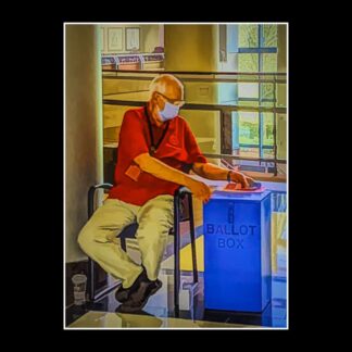 Absentee Ballot 2020 by Georgette Grossman