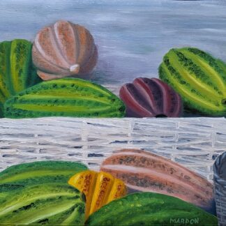 Cacao Pods, Costa Rica by Russ Mardon