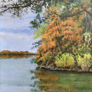 Lake Accotink in Fall by Nancy Patrick