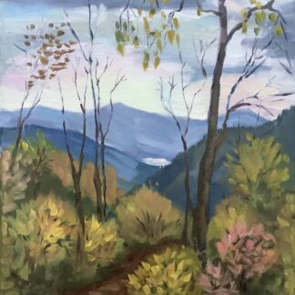 Fall in Shenandoah by Valentina DiMilo