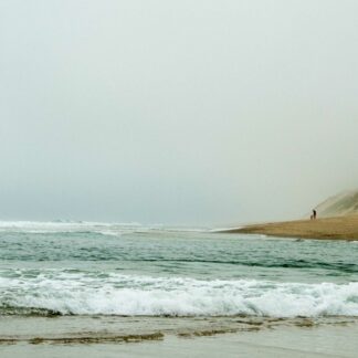 A Walk in the Fog by Meg Clarke