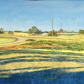 Afternoon Shadows by Cindi Lewis