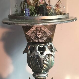 Cabinet of Curiosity No 23 by David Alfuth