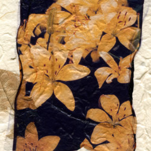 Polaroid Transfer by Alison Duvall