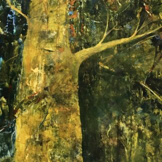 Tree by Judy Antico
