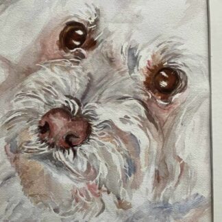 Charlie by Angela Antonopoulos