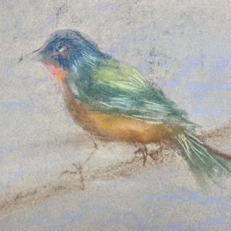 Drawing and Painting for Teens (ages 13+)