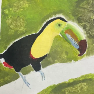 Art Camp PM (ages 9-12)