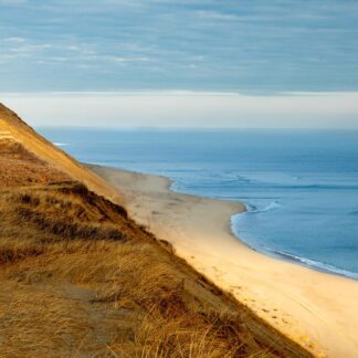 Atlantic Dune at Sunrise by Meg Clarke