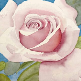 Fragile Beauty by Richard Ayres