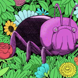 Wild Bug by Chris Bonnell