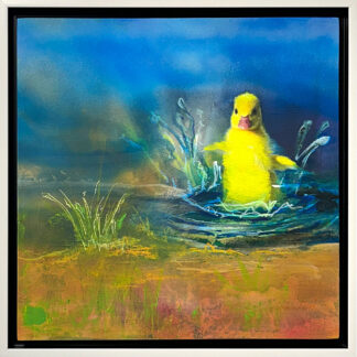Splash by Abol Bahadori