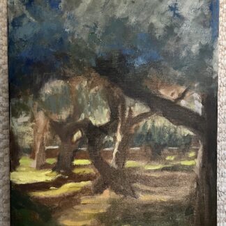 Olive Grove by Karen Baith