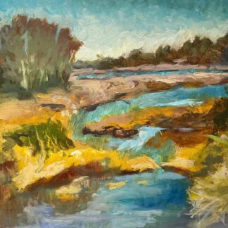 Marsh in Early Spring by Karen Baith
