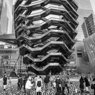The Bee Hive by Rob Baker