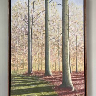 Beeches and Moss by David Beck