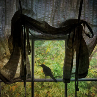 Neighborhood Watch by Christine Bernstein