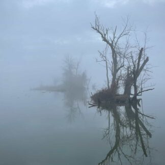Mysterious River by Christine Bernstein