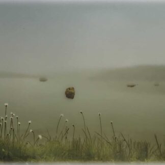 Mountain Lake, Series 1 by Cinda Berry
