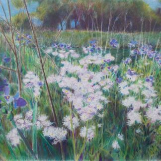The Prairie Awakens by Kathleen Best Gillmann