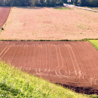 Tilling by Diane Blackwell