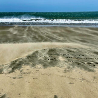 Surface Dance by Diane Blackwell