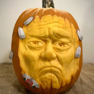 Sculptural Pumpkin Carving (adult)