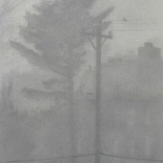 Morning Fog by Craig Brodfuehrer