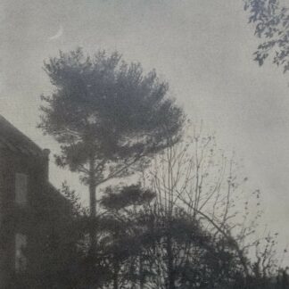 Evening Silhouette, Saint Asaph Square by Craig Brodfuehrer