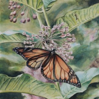 New Life by Amy Browning-Dill