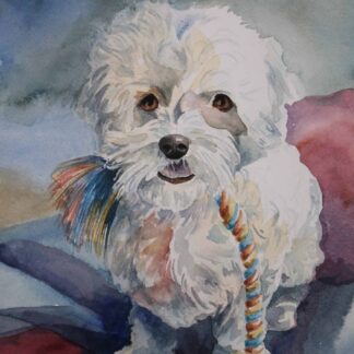 Mr. Peabody by Amy Browning-Dill