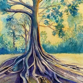 Moreton Bay Fig by Noreen Brunini