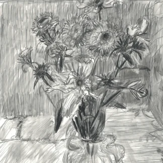 Basic Drawing (Adult)