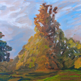 Yellow Triangle Tree by Amanda Buckley