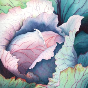 Rachel Collins, "Cabbage at Green Spring" Watercolor