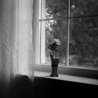 Longing by Mari Calai