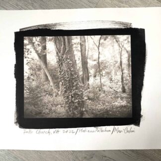 The Smell of Rain by Mari Calai
