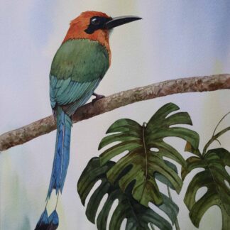 Watching and Waiting by Cecilia Capestany