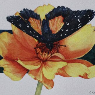 Rosita Patch (Butterfly) by Cecilia Capestany