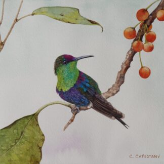 Sitting Pretty by Cecilia Capestany