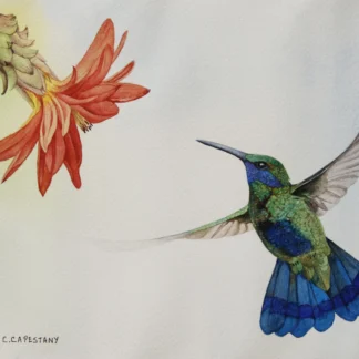 Pirouette by Cecilia Capestany