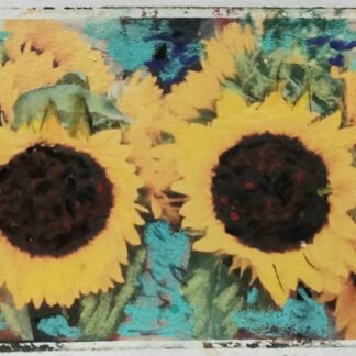 Sunny by Pete Chandler