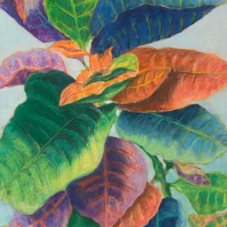 Colorful Codiaeum by Patricia Shumaker Chisholm