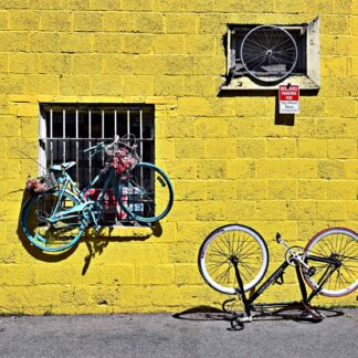 Wheels of Life by Stella Choi