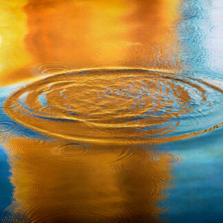Circles by Maureen Minehan