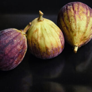 The Three Little Figs by Ron Colbroth