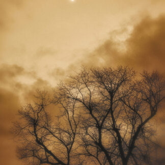Ethereal by Ron Colbroth
