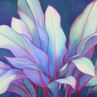Blue Ti by Rachel Collins