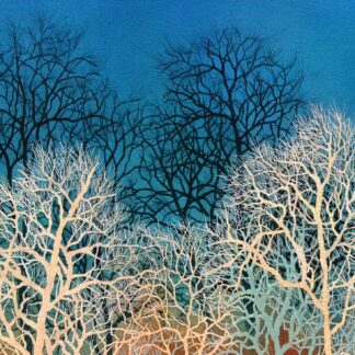 Light Trees, Dark Trees by Rachel Collins