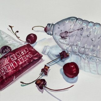 Remains of a Delicious Snack by Barbara Cooper